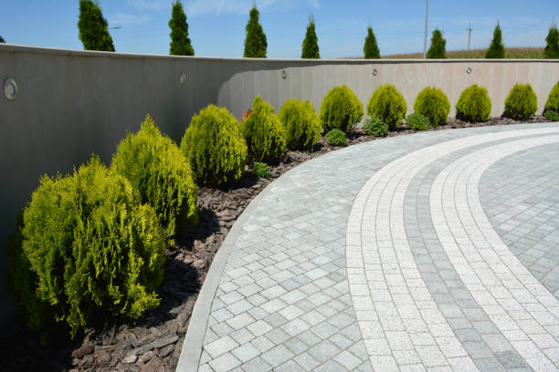 Best Local Driveway Pavers  in Clark, SD
